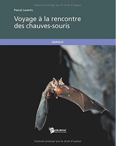 Voyage a la rencontre des chauves-souris