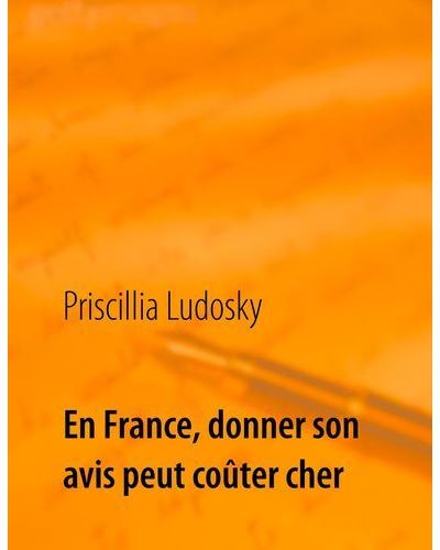 En France, donner son avis peut coûter cher