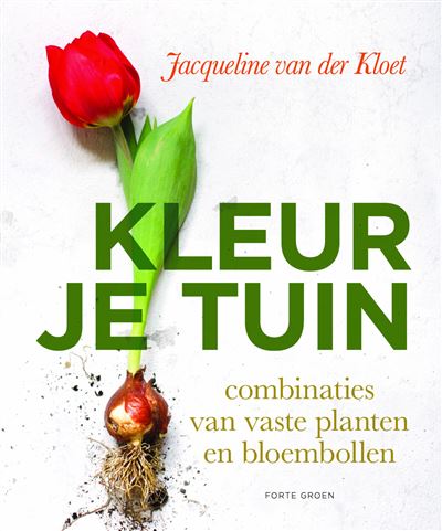Kleur in je tuin