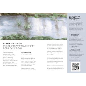 En avant vers la mare aux Fées !