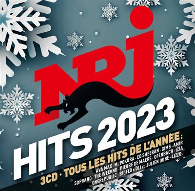 NRJ Hits 2023 - David Guetta - Harry Styles - CD album - Achat