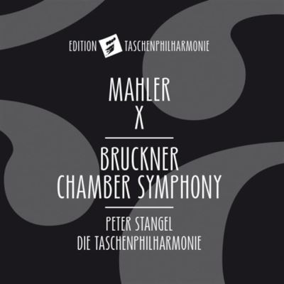 Chamber symphony/symphony 10/die taschenphilharmonie