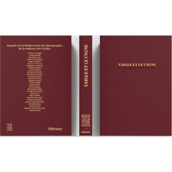 L’aigle et le cygne