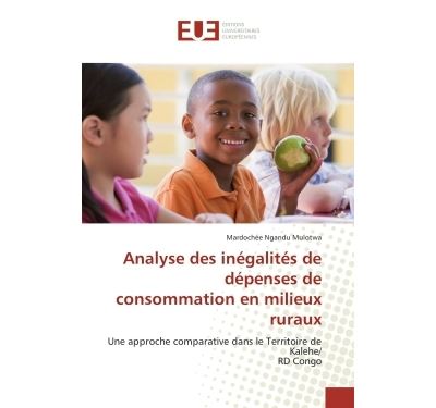 Analyse des inegalites de depenses de consommation en milieu