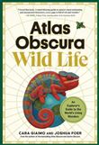 Atlas obscura