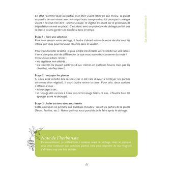 Le Guide ultime de l'herboristerie