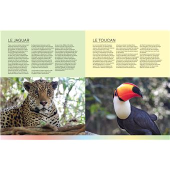 Merveilles de la nature