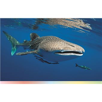 Merveilles de la nature