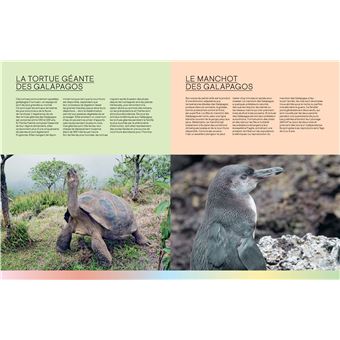 Merveilles de la nature