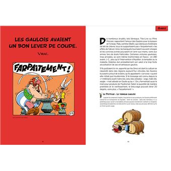 Astérix - Les vérités historiques expliquées