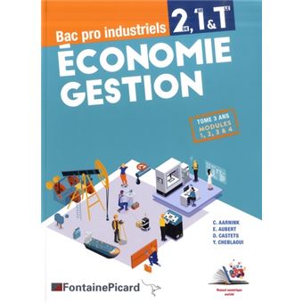 Economie Gestion 2de 1ere Tle Bacs Pro Industriels Tome 3 Ans Modules 1 2 3 4 Broche Christelle Aarnink Emmanuelle Aubert Dominique Castets Younes Cheblaoui Achat Livre Fnac
