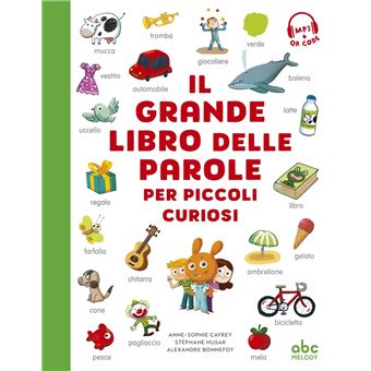 Il Grande Libro Delle Parole Per Piccoli Curiosi - Cartonné - Anne ...