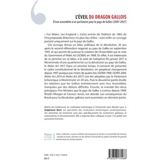 L'éveil du dragon gallois