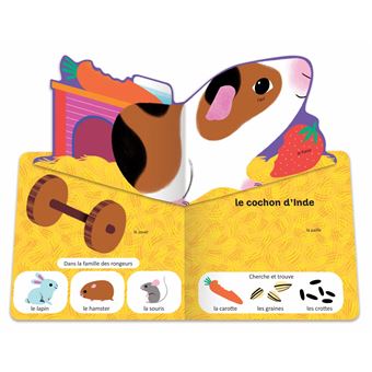 Pop Pop Pop: Mon imagier Pop-up des animaux familiers