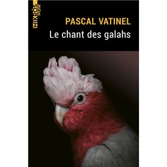 Le chant des galahs
