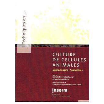 Culture de cellules animales