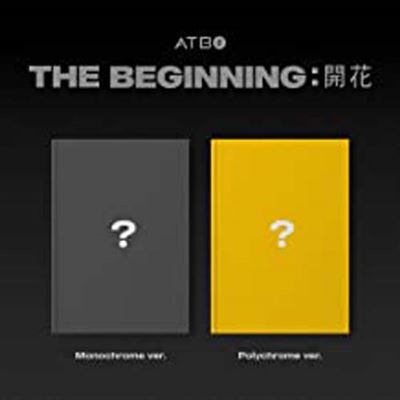 BEGINNING : BLOOMING