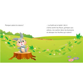 DISNEY - Mes Premières Histoires - Panpan découvre la nature