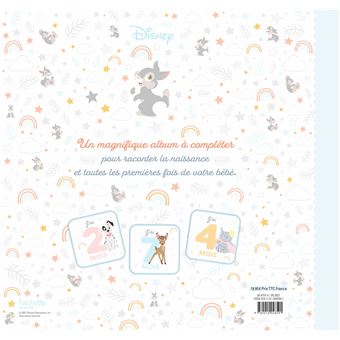 DISNEY - Mon livre de naissance, mes premiers souvenirs