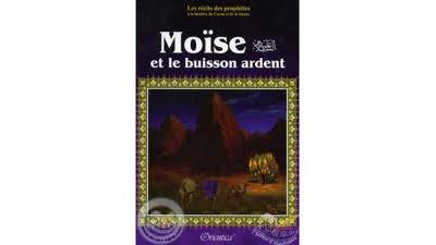 Moïse et le buisson ardent -  Collectif - broché