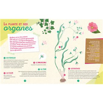 Silence ça pousse je fais mon jardin fleuri - coffret avec accessoires