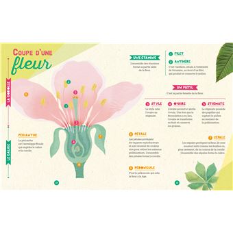 Silence ça pousse je fais mon jardin fleuri - coffret avec accessoires