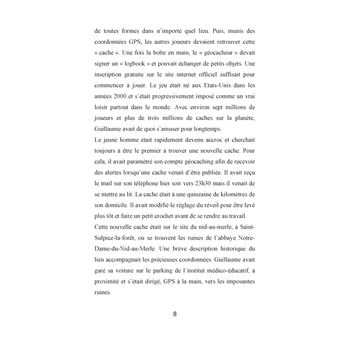 Géocrimes