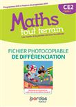 Maths tout terrain CE2 2020 Fichier photocopiable de différenciation
