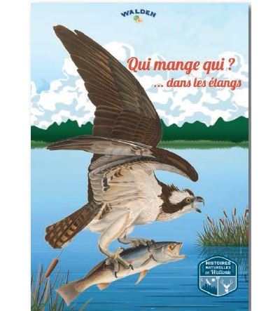 Qui mange qui dans les étangs de Wallonie