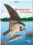 Qui mange qui dans les étangs de Wallonie