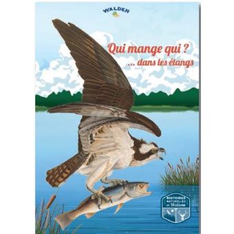 Qui mange qui dans les étangs de Wallonie