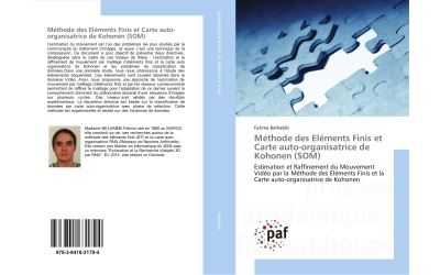 Methode des elements finis et carte auto-organisatrice de ko