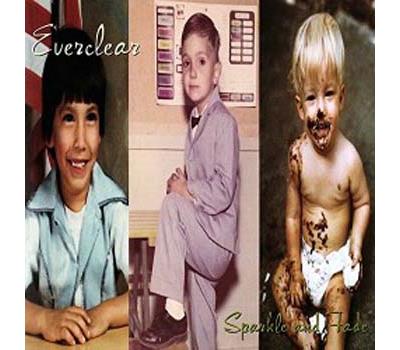 Sparkle & Fade [Vinyl LP]