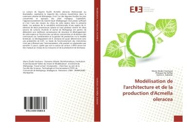 Modelisation de l'architecture et de la production d'acmella