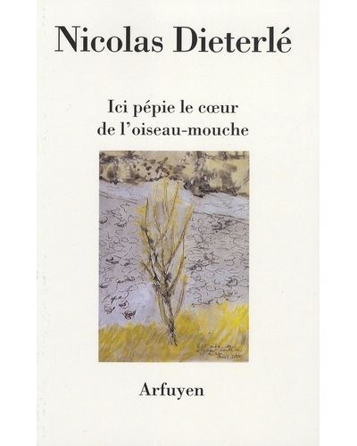 Ici pepie le coeur de l'oiseau mouche - N DIETERLE - broché