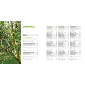 Tailler facilement tous les arbustes d'ornement