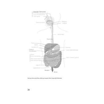 Le Régime De Détoxification Suisse : Comment j'ai Renoncé à l'Excès de Poids
