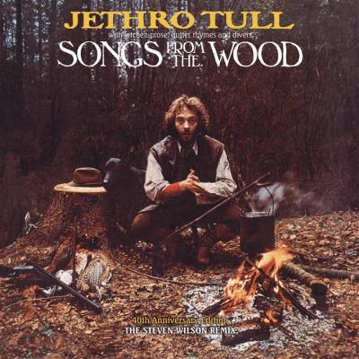 Songs from the wood/remix