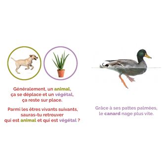 Animal ou végétal ?