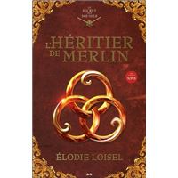 L'héritier de Merlin - Le secret des druides