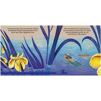 Petite libellule : Un livre très nature