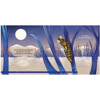 Petite libellule : Un livre très nature