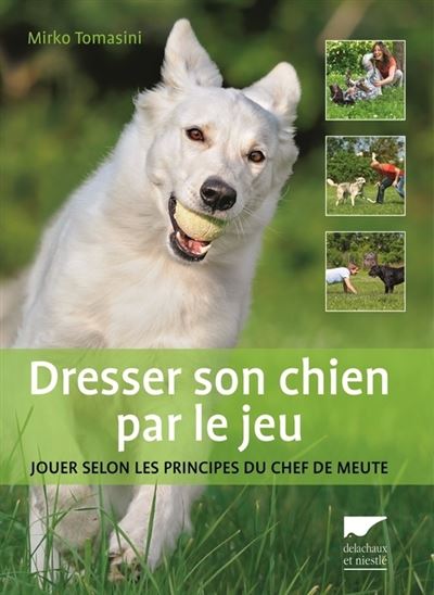 Dresser son chien par le jeu. jouer selon les principes du chef de meute