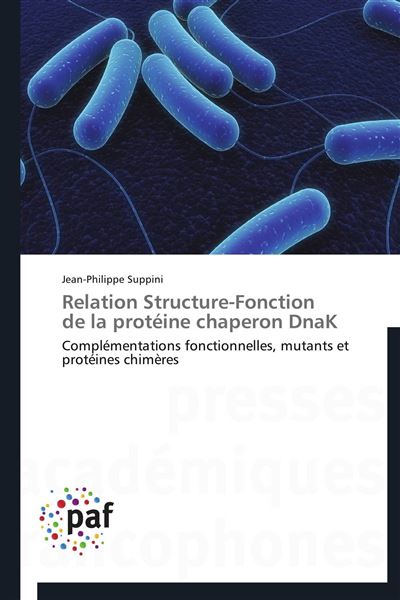 Relation structure-fonction  de la proteine chaperon dnak