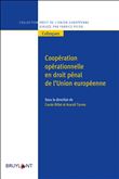 Coopération opérationnelle en droit pénal de l'UE