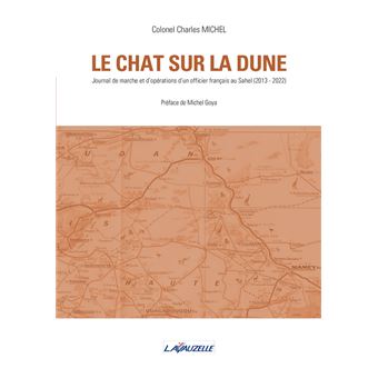 Le chat sur la dune