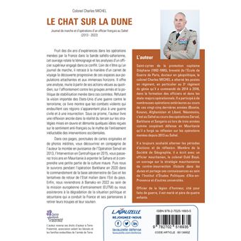 Le chat sur la dune