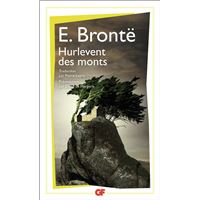 Les chefs-d'oeuvre des soeurs Brontë - Les Hauts de Hurlevent, La Dame du  manoir de Wildfell, Vilett - Charlotte Brontë, Emily Brontë, Anne Brontë -  Librairie Grangier