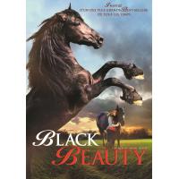 Black Beauty DVD