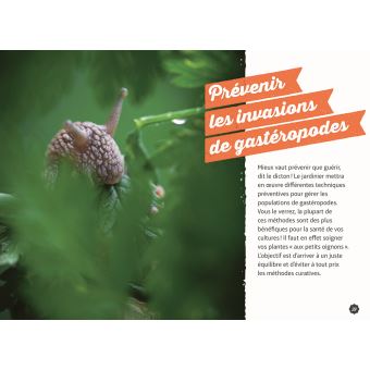 Gestion écologique des limaces et des escargots au jardin - 35 techniques & astuces qui fonctionnent